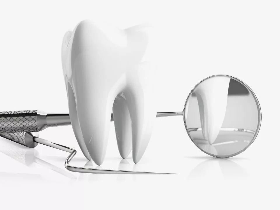 ząb i lusterko dentystyczne